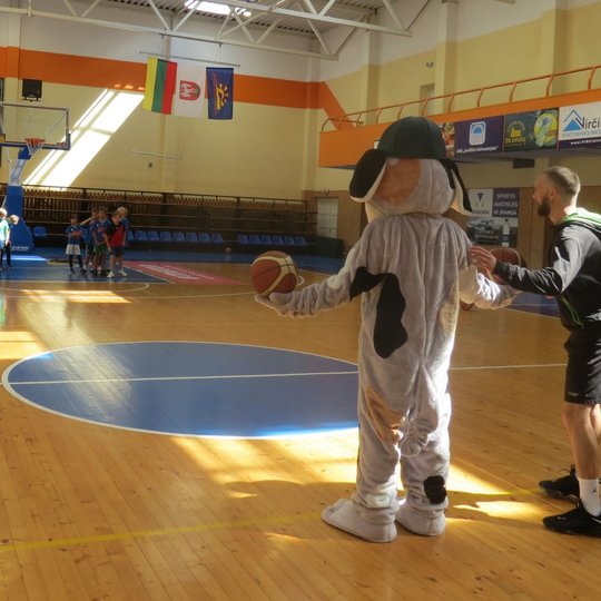 Iliustracija