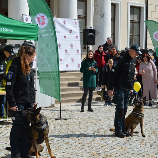 Iliustracija