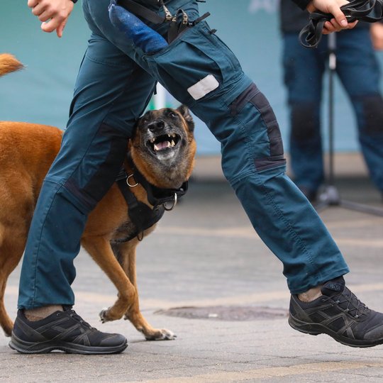 Policijos ir visuomenės šventė Telšiuose