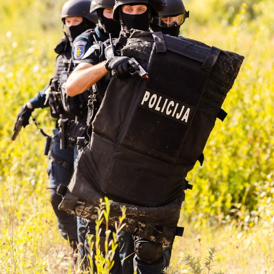 Iliustracija